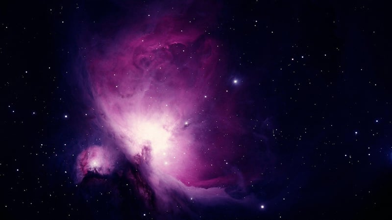 Starlit Garden